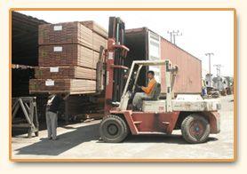 Loading finished timber into an export container